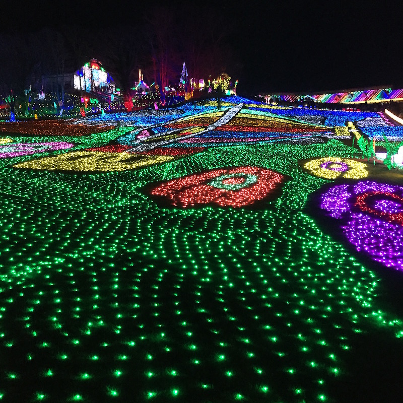 I went to the “Tokyo German Village” reputed as one of the leading Kanto illuminations in a severe crowd season