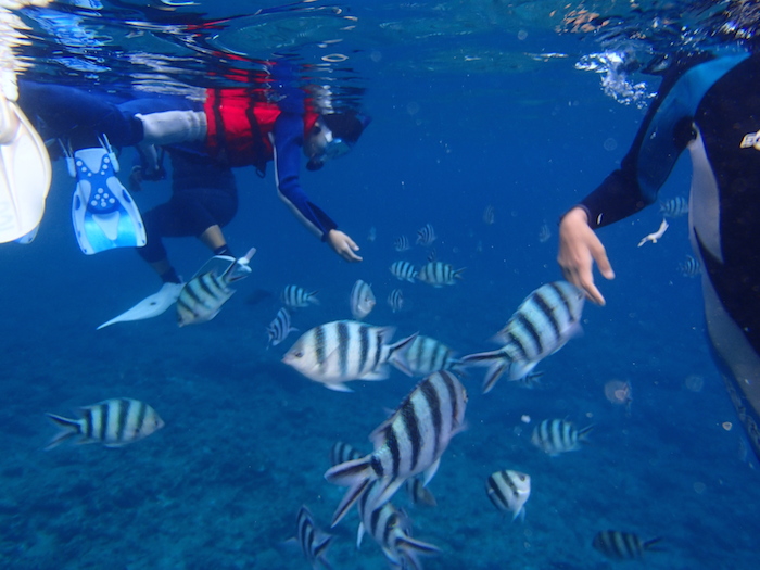 Snorkeling tour in the blue cave of Okinawa Maeda Misaki