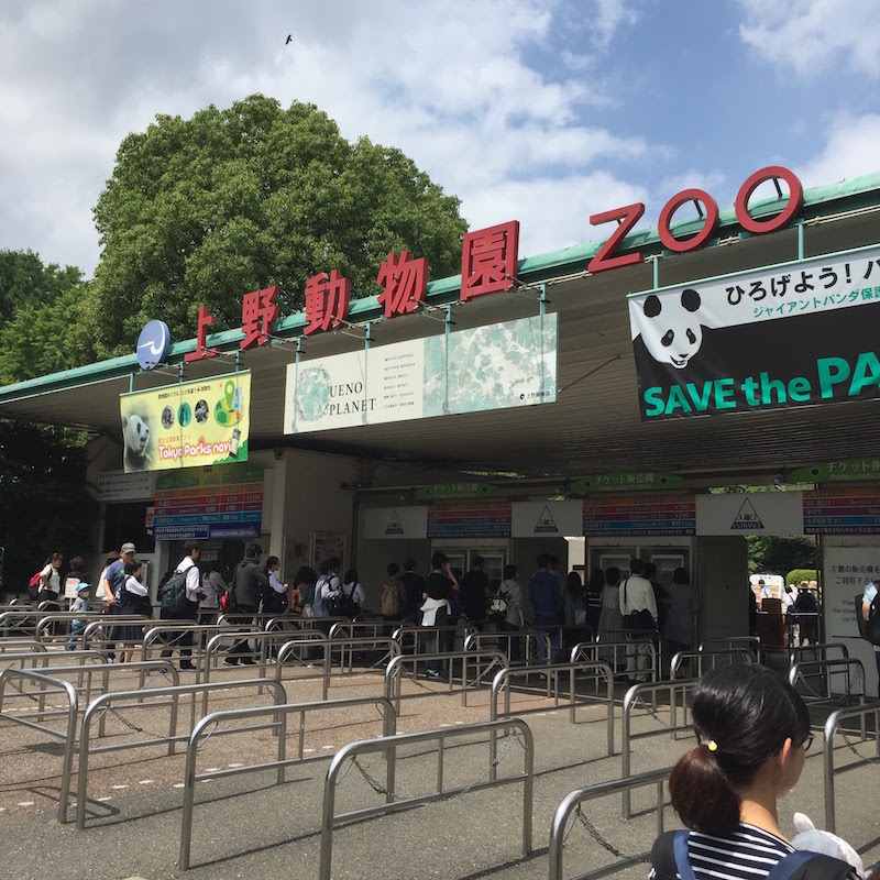 If you want to enjoy Ueno Zoo with comfort avoiding congestion, the weekday of May is best